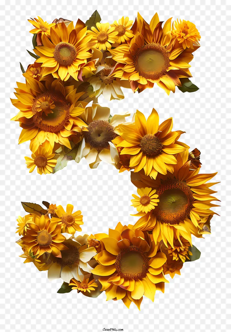 Número 5 Flores，Girassol PNG