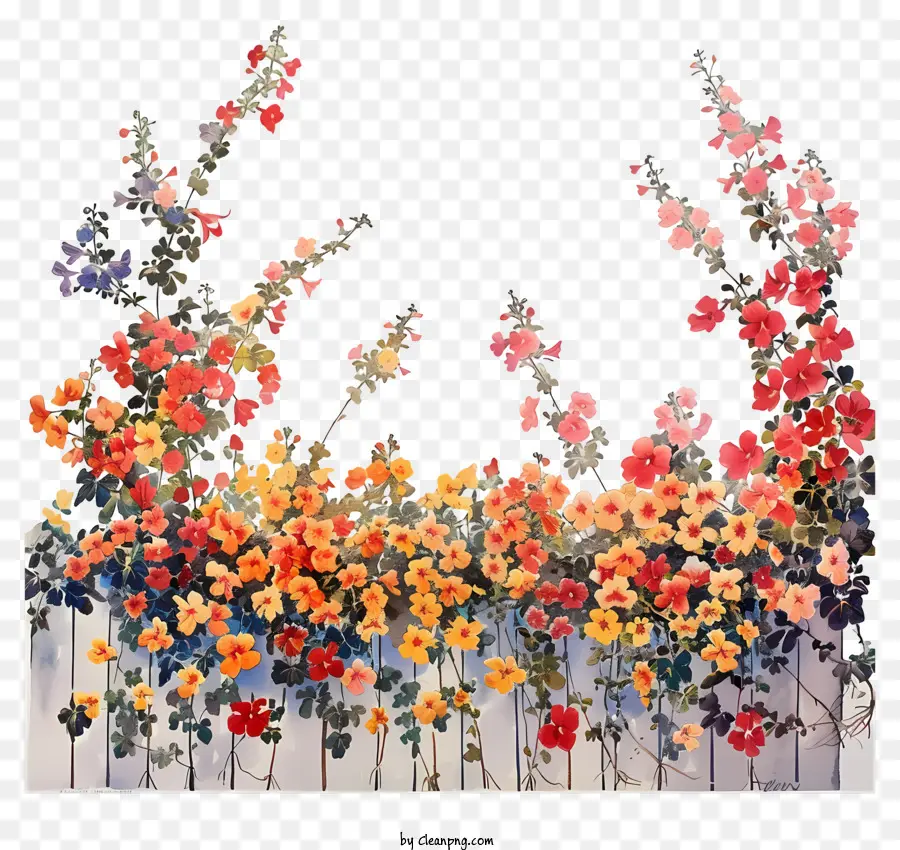 Muro Do Jardim，Pintura Das Flores PNG