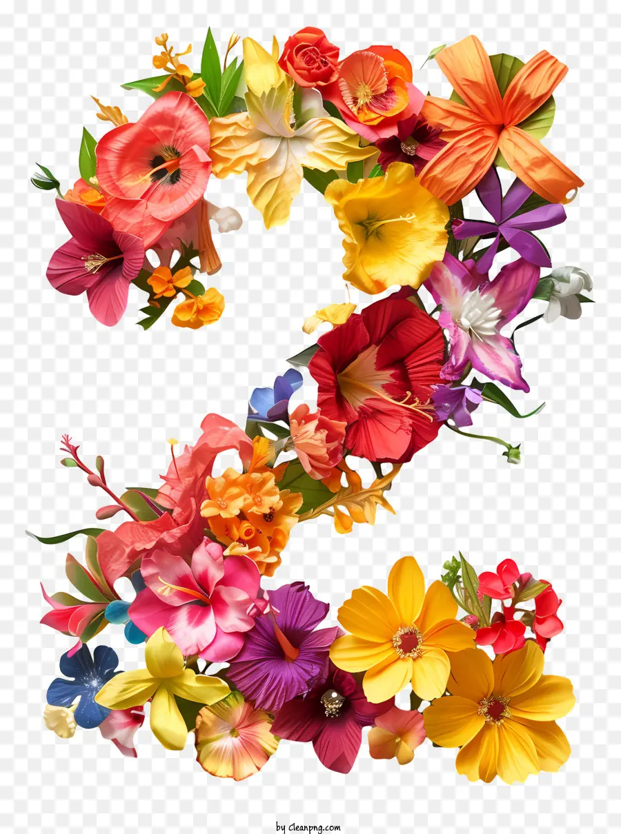Flores Número 2，Flor Arte PNG