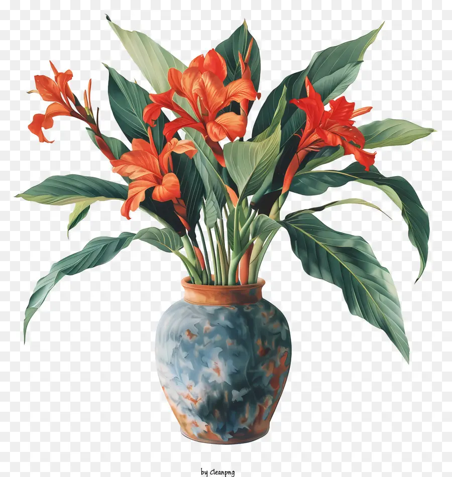 Flores De Canna Indica，Vaso PNG