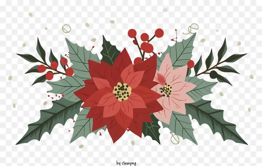 Flor，Poinsettias PNG