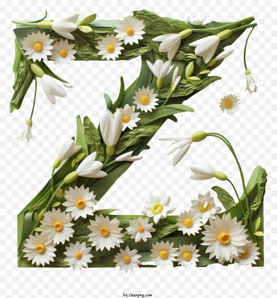 Carta Floral Z，Margarida PNG