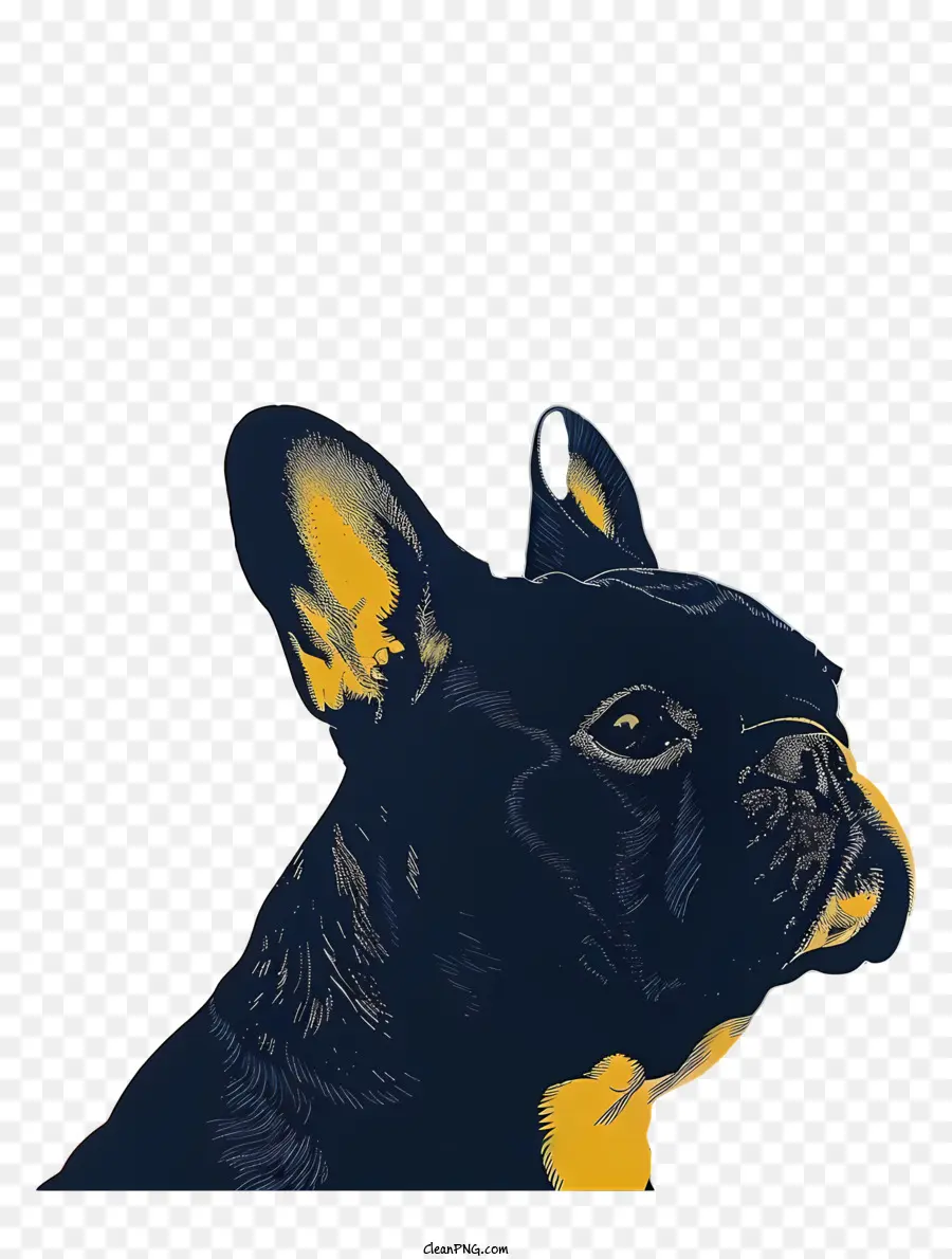 Buldogue Francês，Cachorro PNG