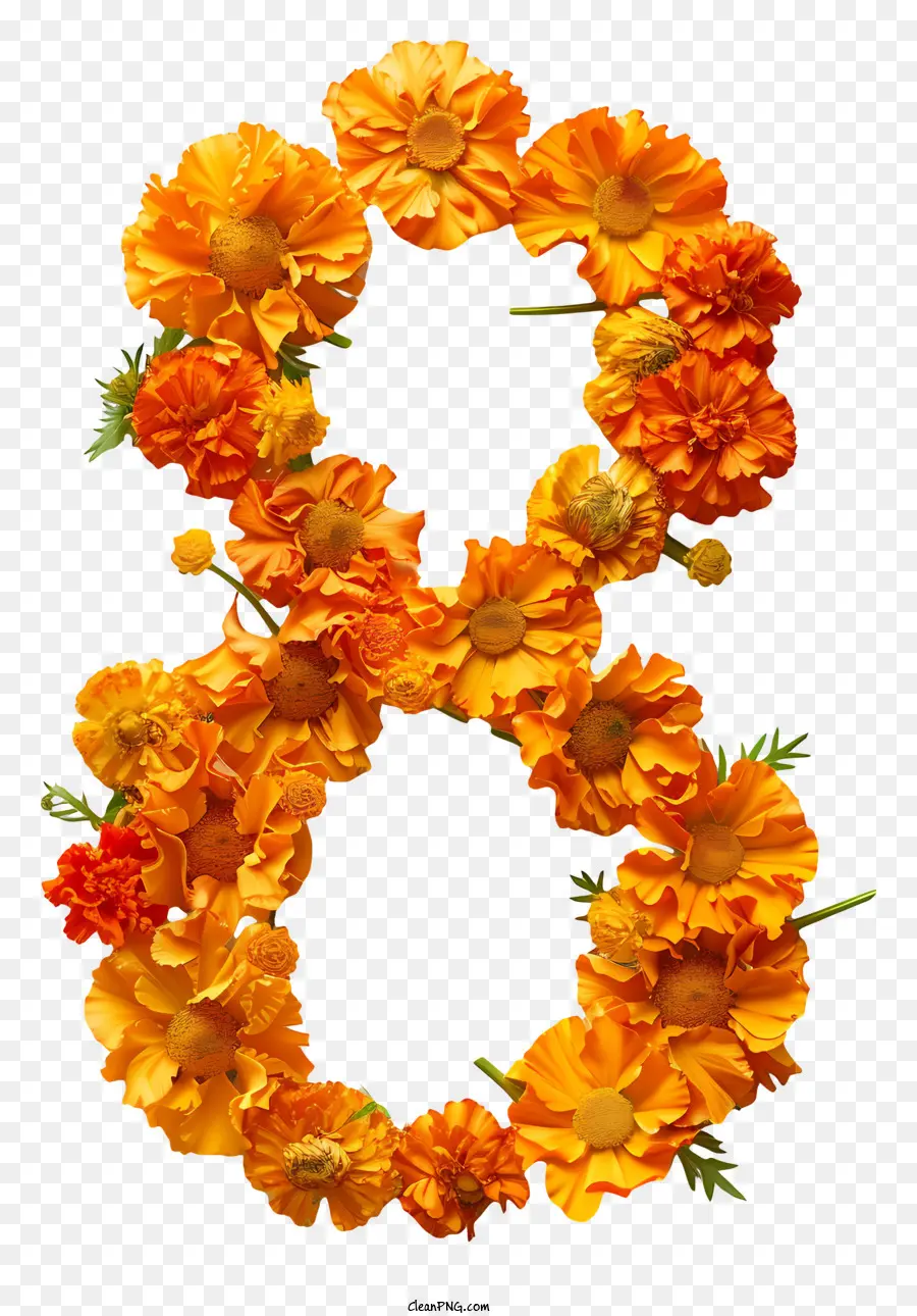 Número 8 Flores，Design Floral PNG