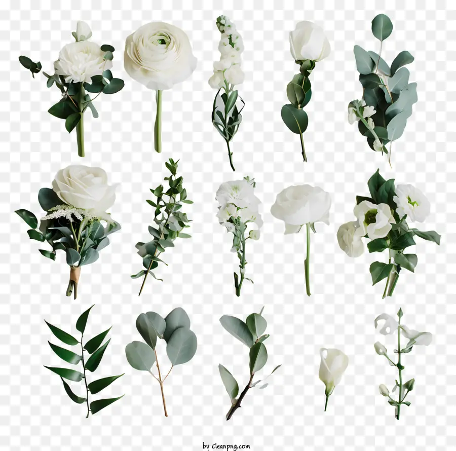 Flores Frescas，Flores Brancas PNG