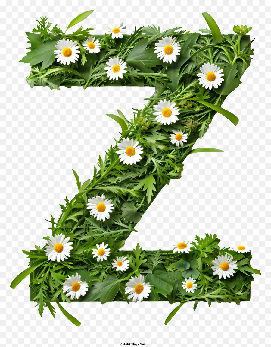 Carta Floral Z，Carta De Flor Z PNG
