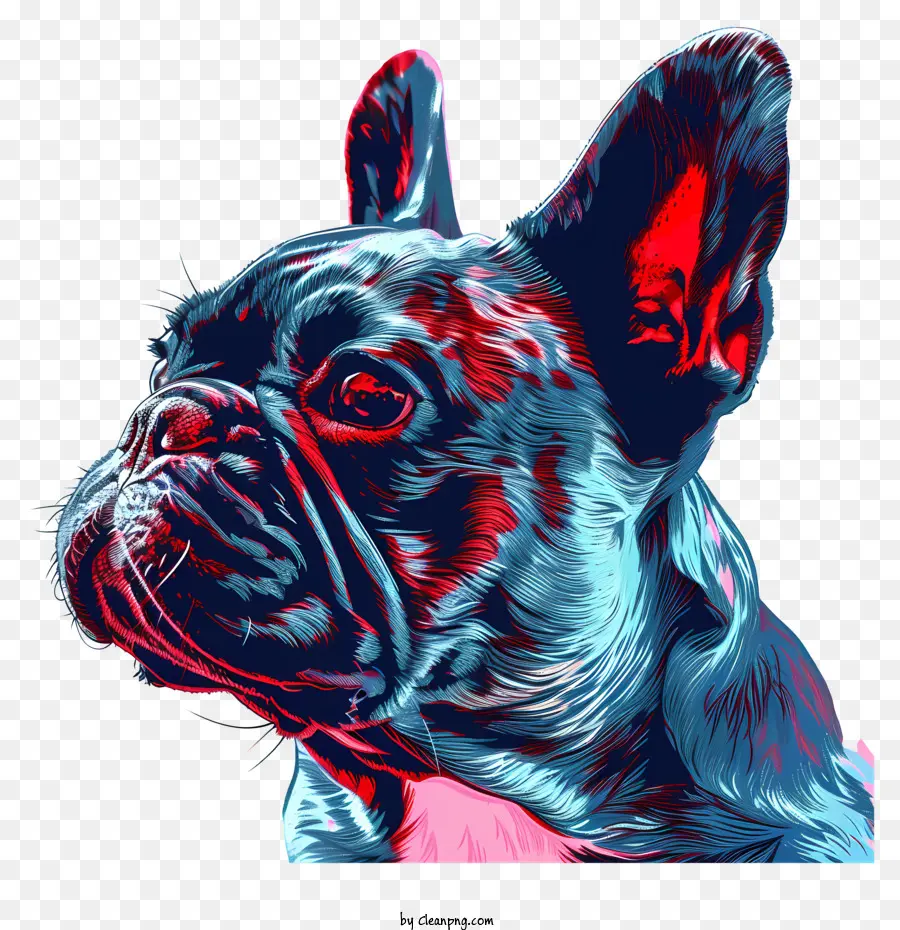 Bulldog Francês，Pintura Digital PNG