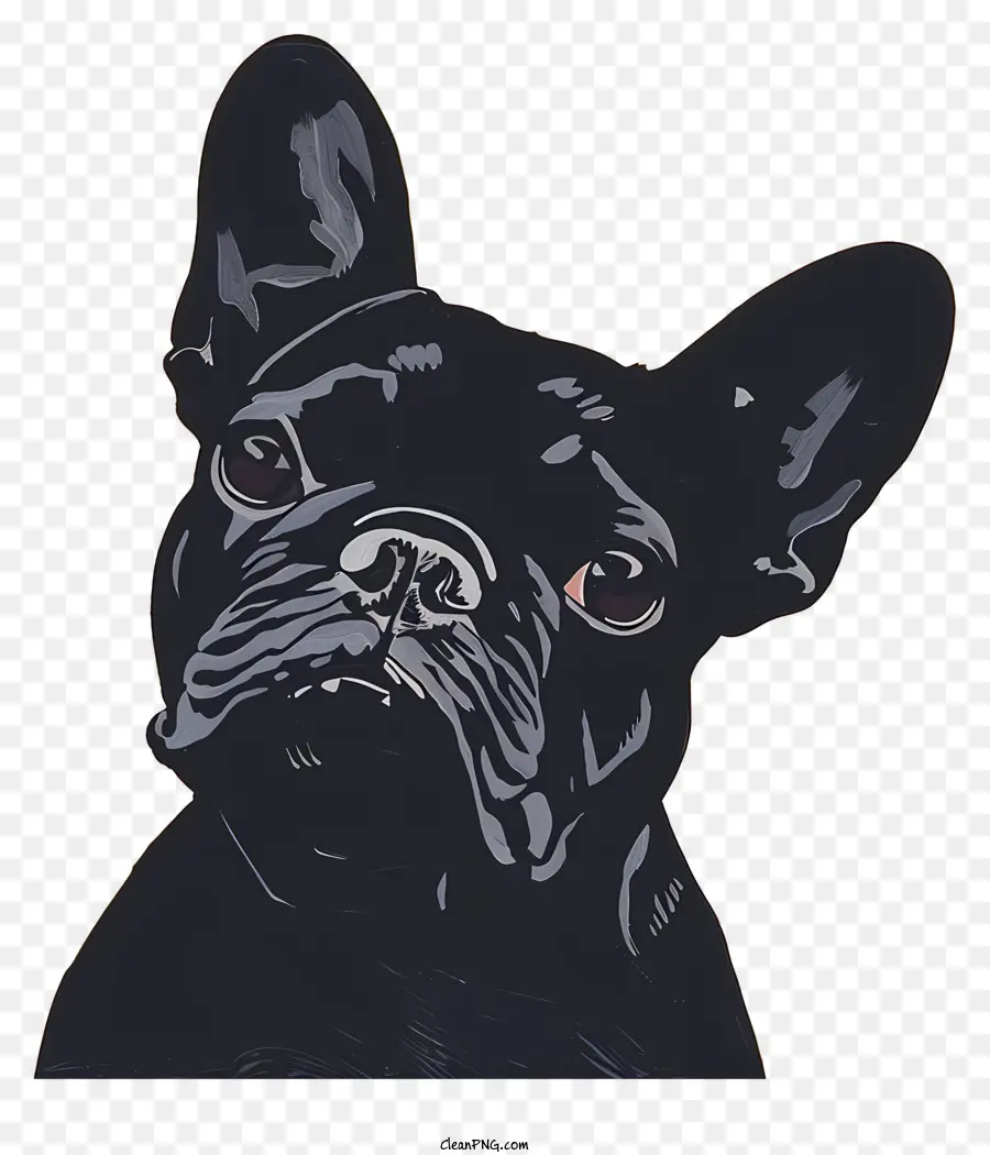 Bulldog Francês，Corpo Preto PNG