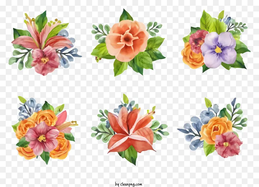 Flor，Aquarela Flores PNG