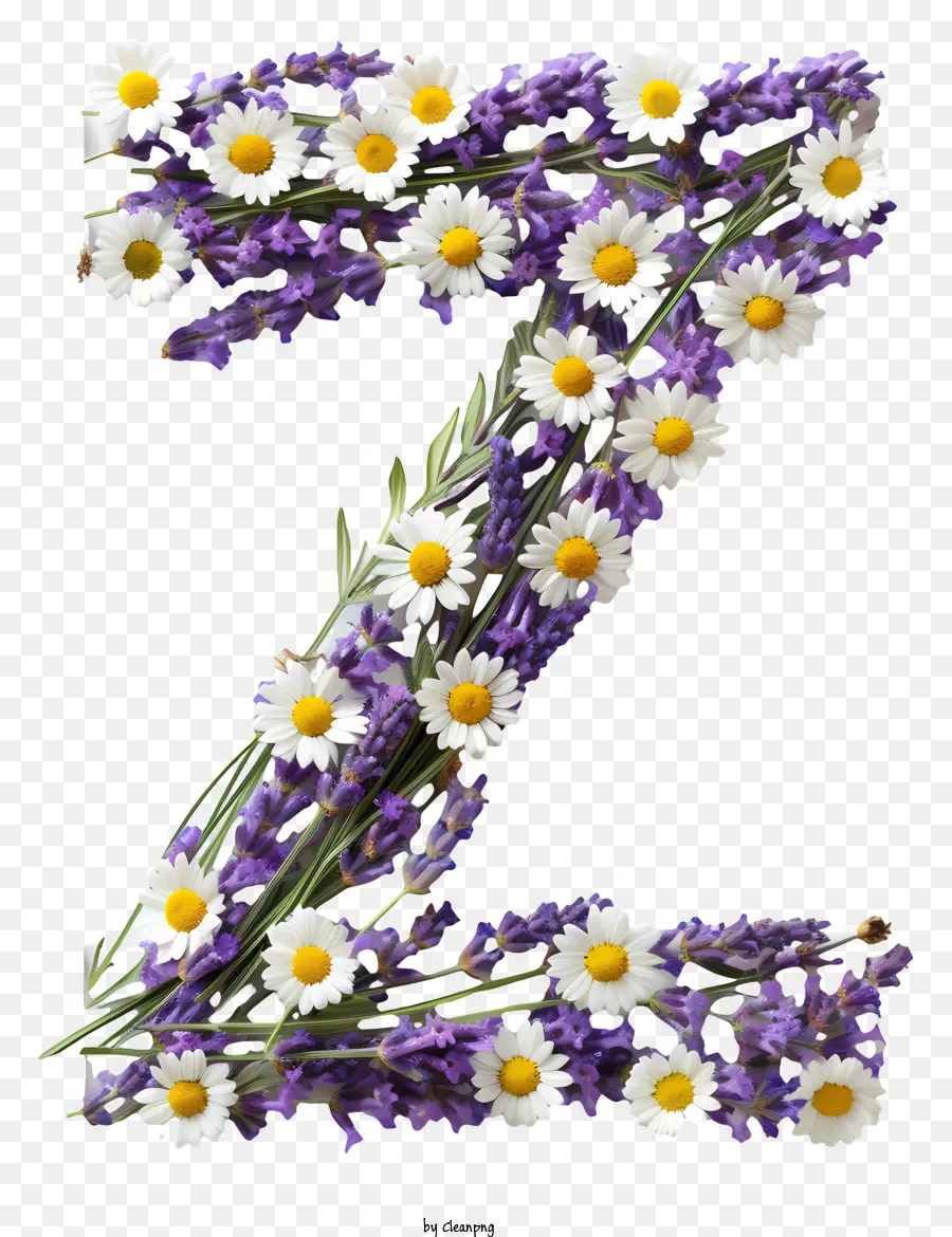 Letra Floral Z，Número 7 Com Flores PNG