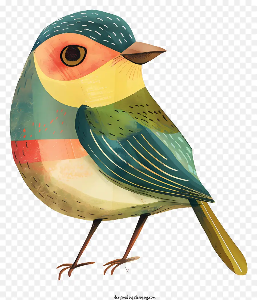 Pássaro Caprichoso，Pássaro Colorido PNG
