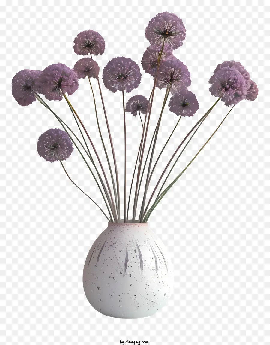 Flores De Giganteum Allium，Flores Cor De Rosa PNG