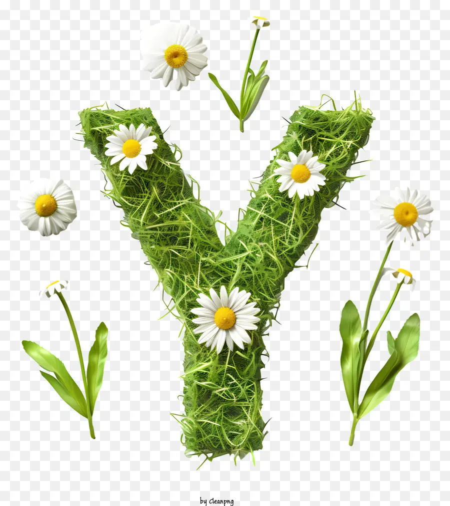 Carta Floral Y，Moss PNG