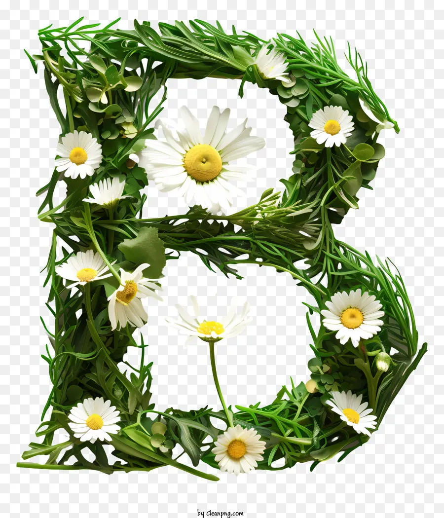 Carta Floral B，Letra B PNG