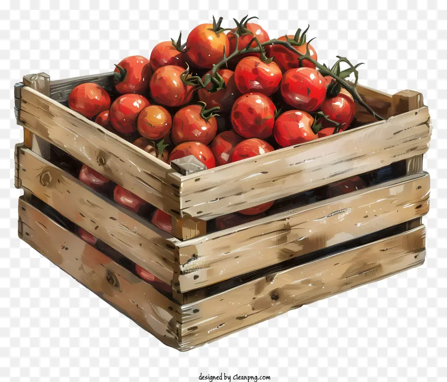 Tomate Cereja，Tomates PNG