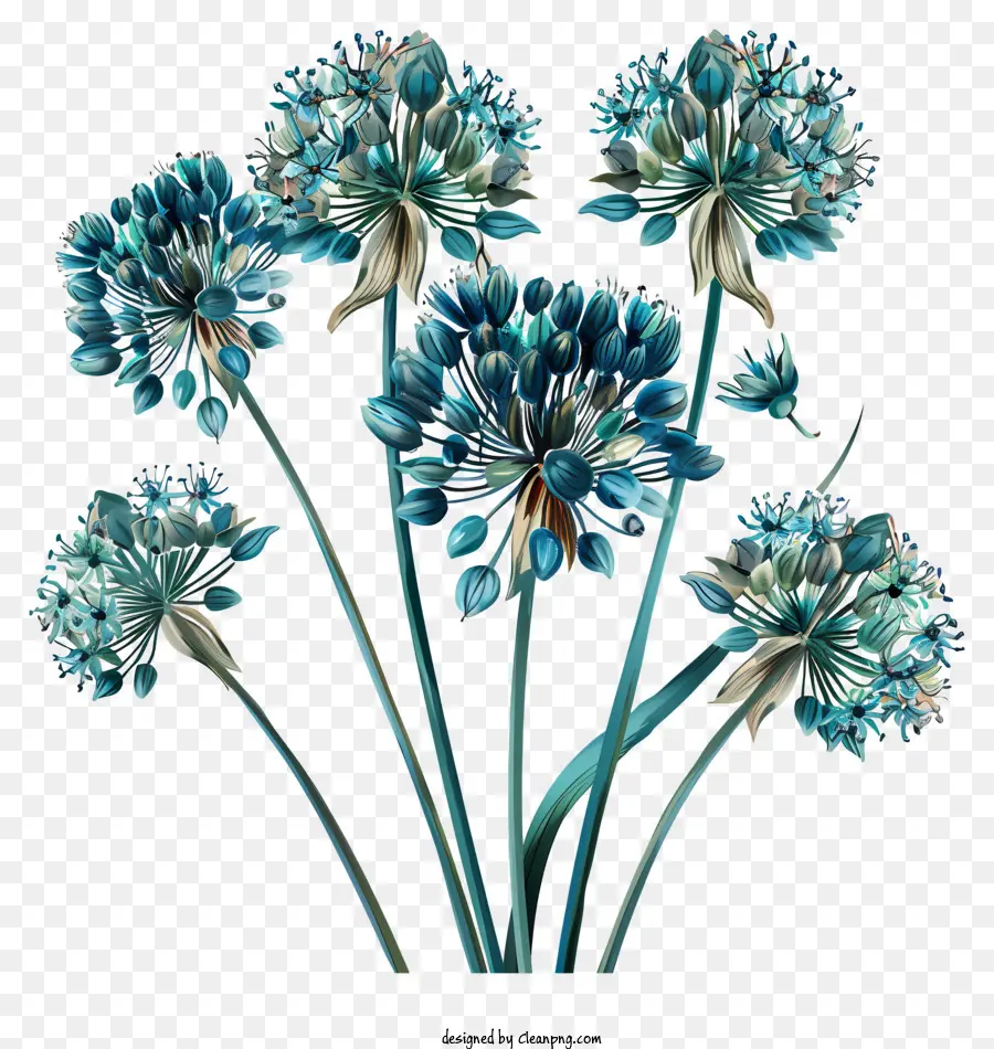 Flores De Giganteum Allium，Flores Azuis PNG