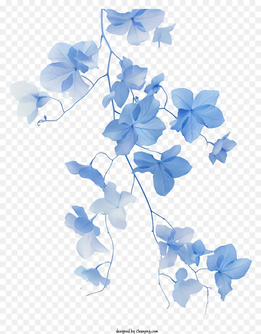 Videira Azul，Flores Azuis PNG