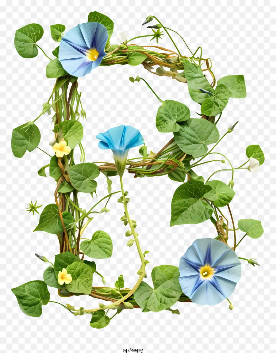 Carta Floral B，Flor Azul PNG