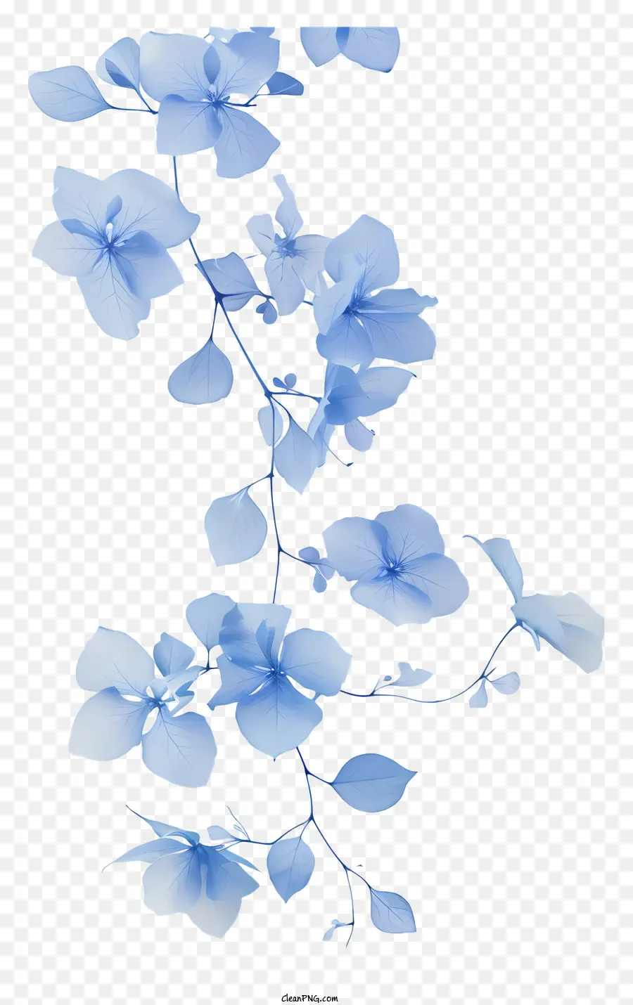 Videira Azul，Arranjo De Flor Azul PNG