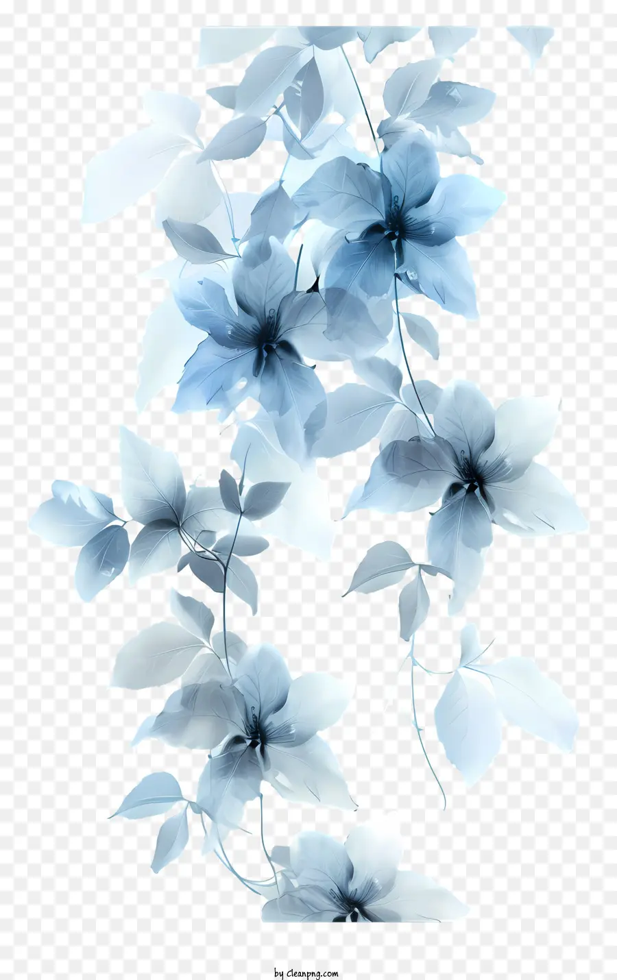 Videira Azul，Flor Branca PNG