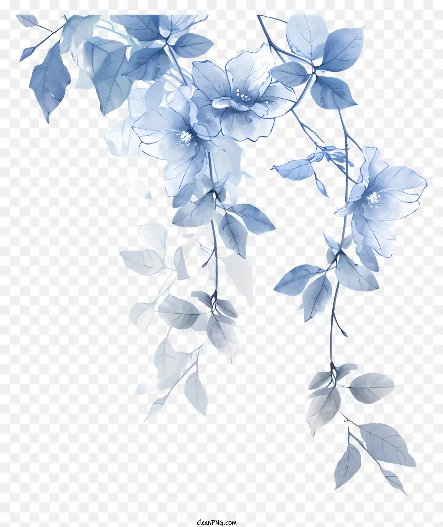 Videira Azul，Flores Brancas PNG