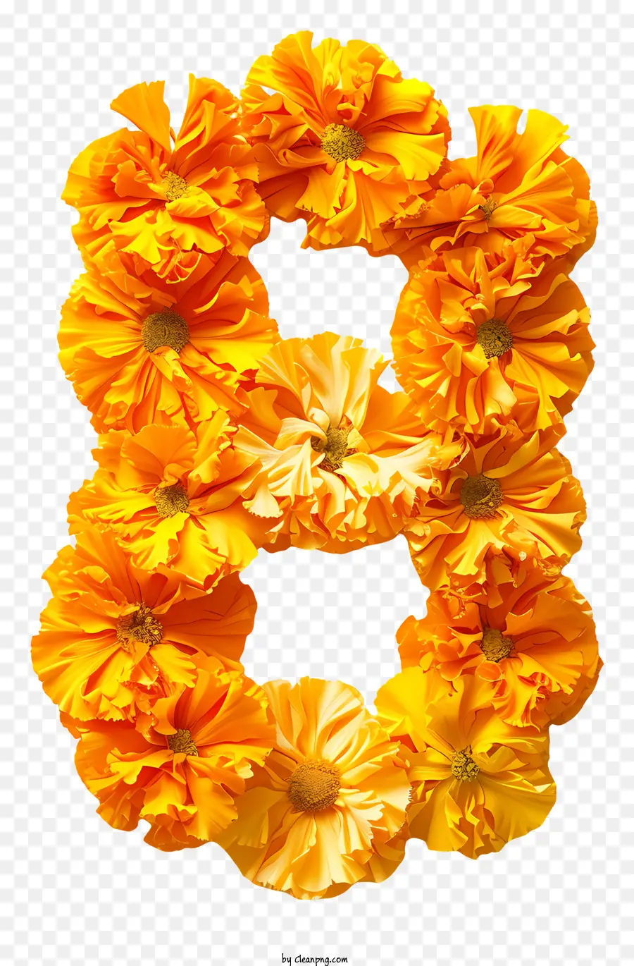 Número Floral Oito，Carta De Flor PNG