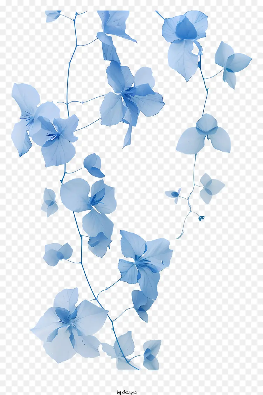 Videira Azul，Garland Floral PNG