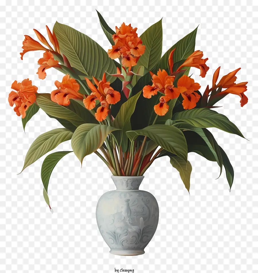 Flor Canna Indica，Vaso De Flores PNG