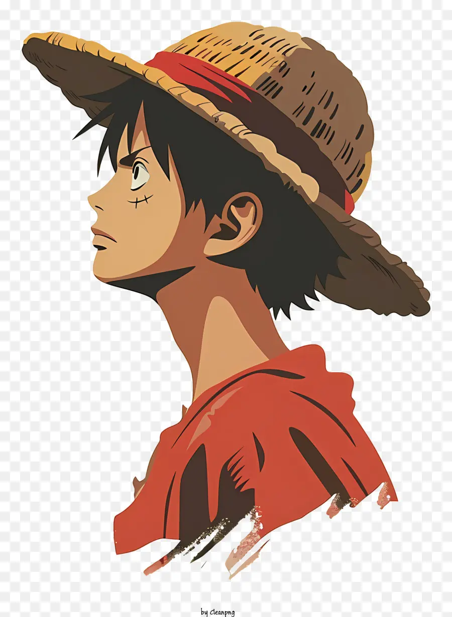 Luffy De One Piece，Pessoa PNG