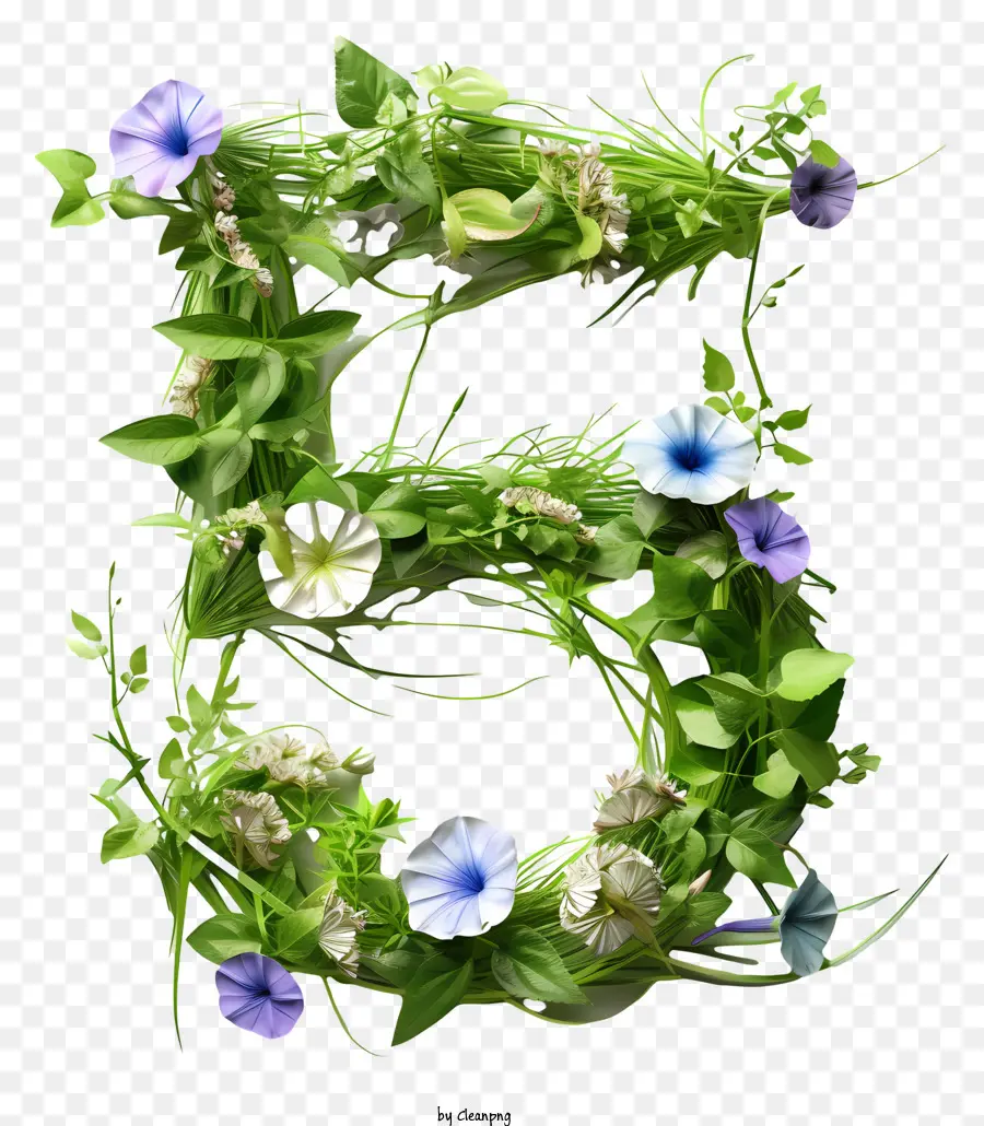 Número Floral Cinco，Plantas Verdes PNG