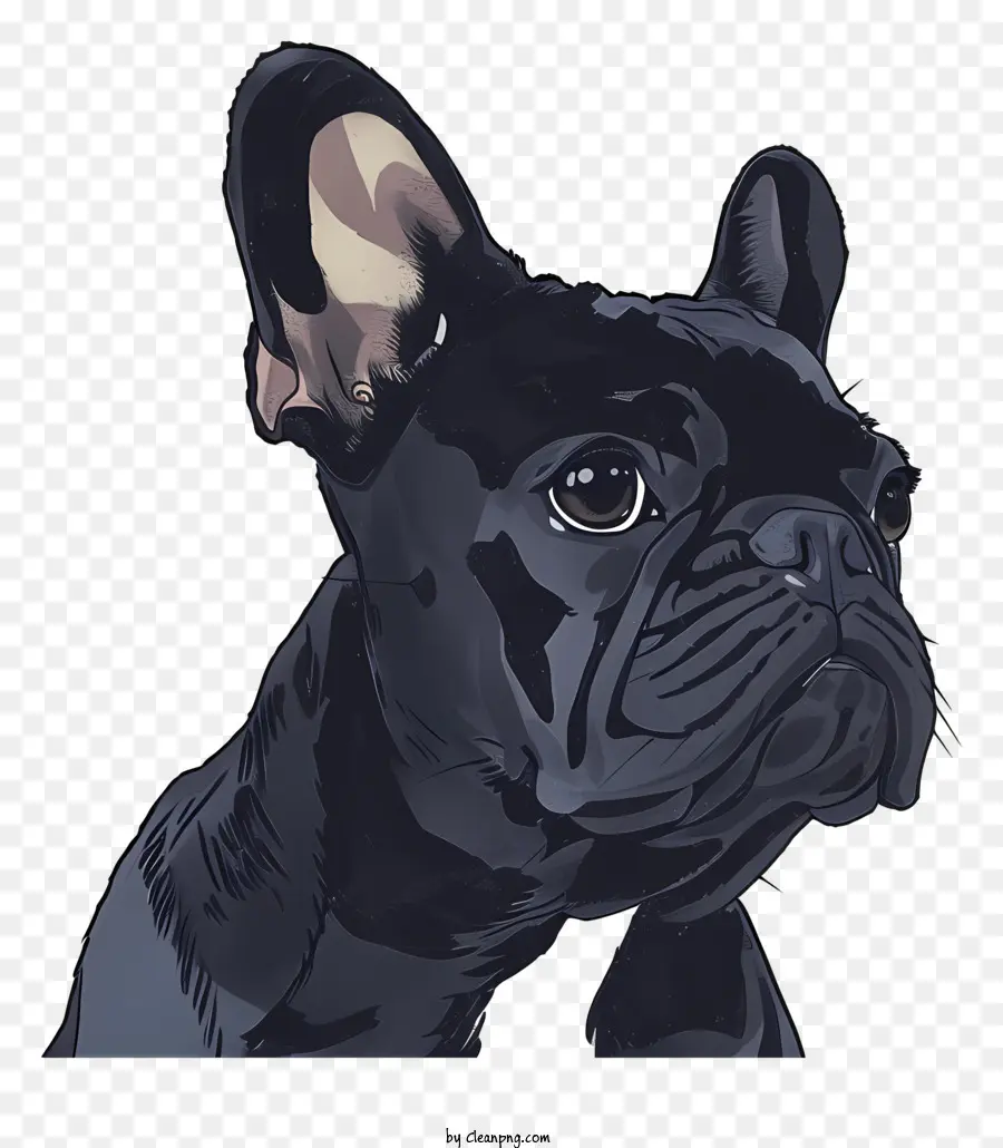 Bulldog Francês，Cachorro PNG