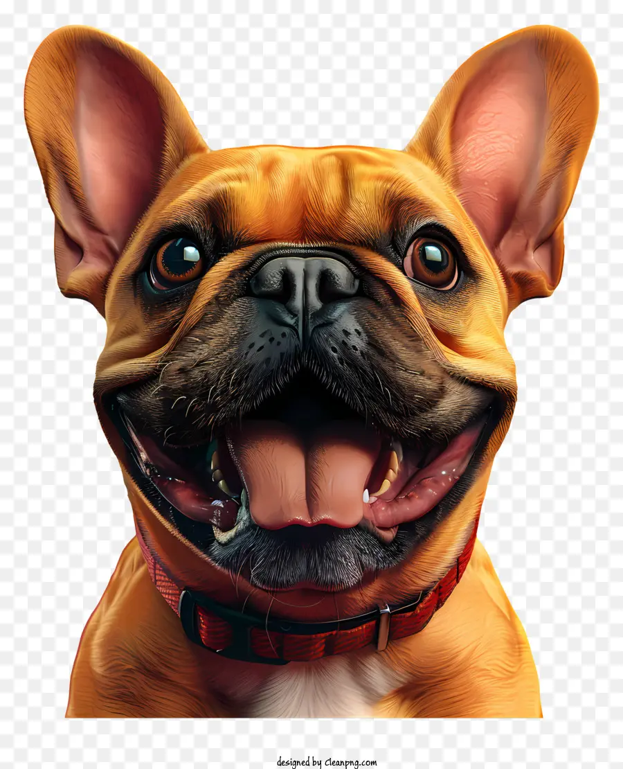 Bulldog Francês，Sorrindo Cão PNG