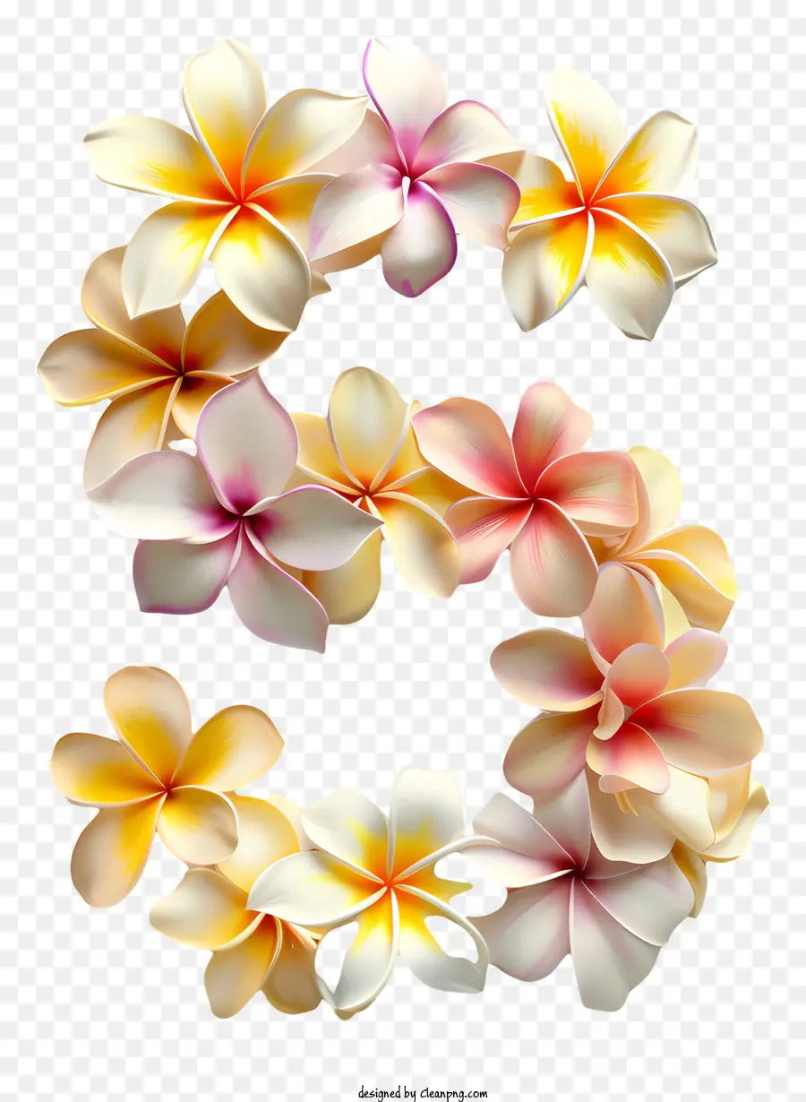 Número Floral Cinco，Projeto De Carta De Flor PNG