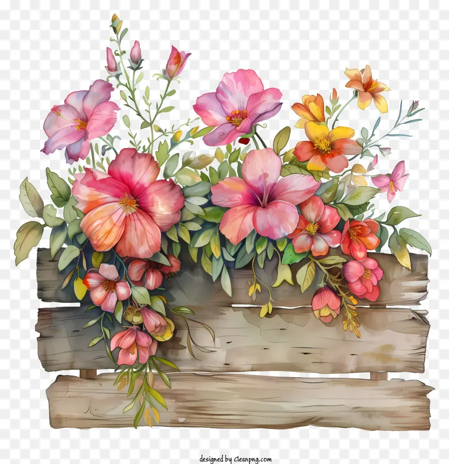 Placa De Sinal De Flores Da Primavera，Pintura Em Aquarela PNG