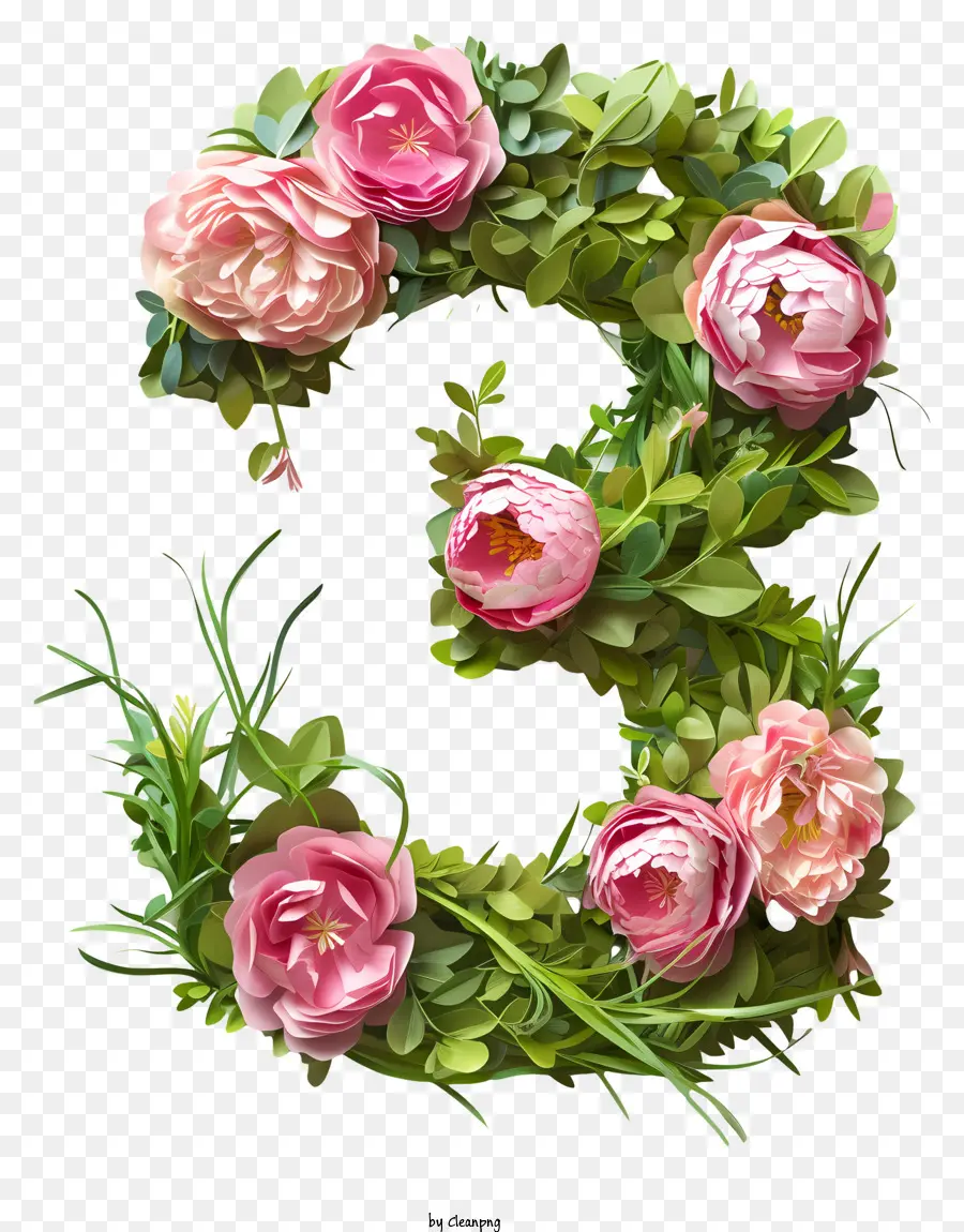 Floral Número Três，Rosas Cor De Rosa PNG