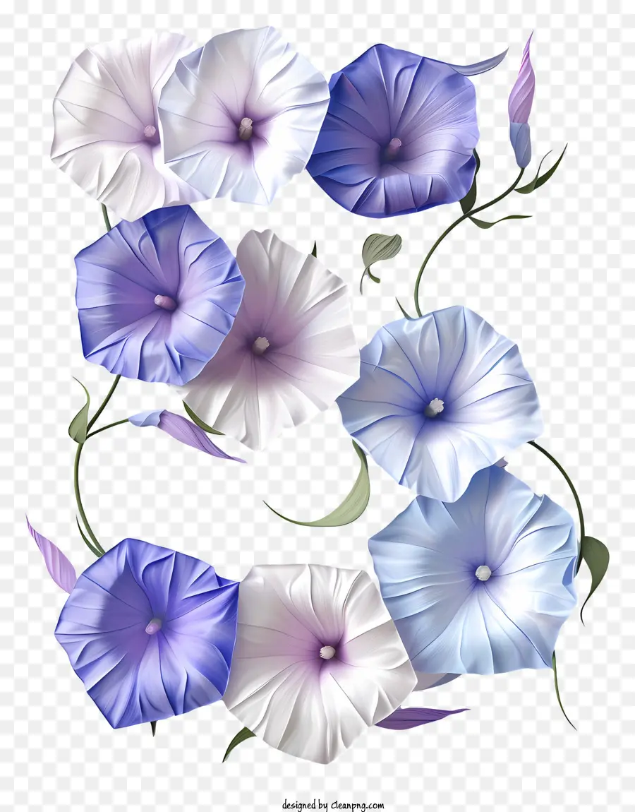 Número Floral Cinco，Flor Branca E Azul PNG