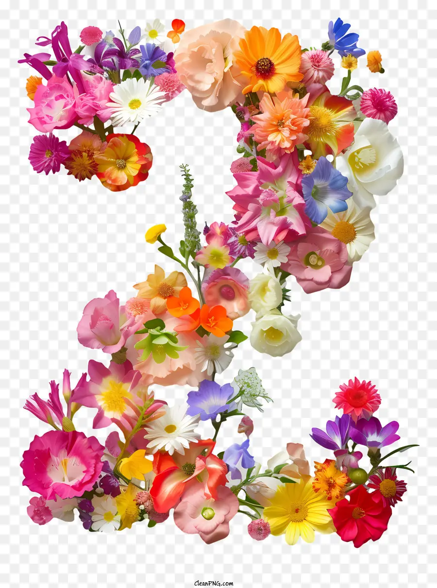 Floral Número Dois，Flor Arte PNG