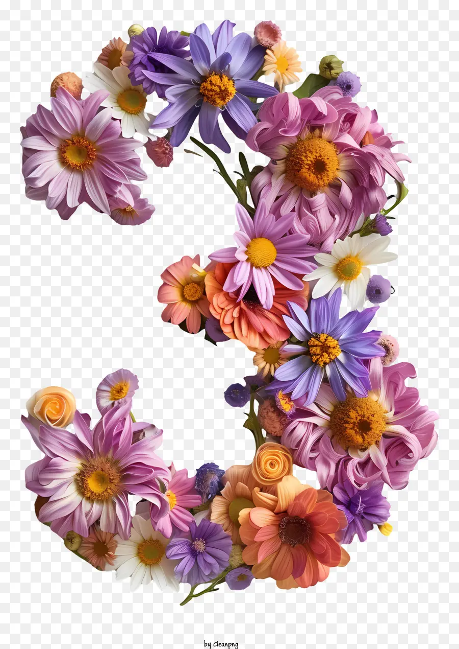 Floral Número Três，Número 2 PNG