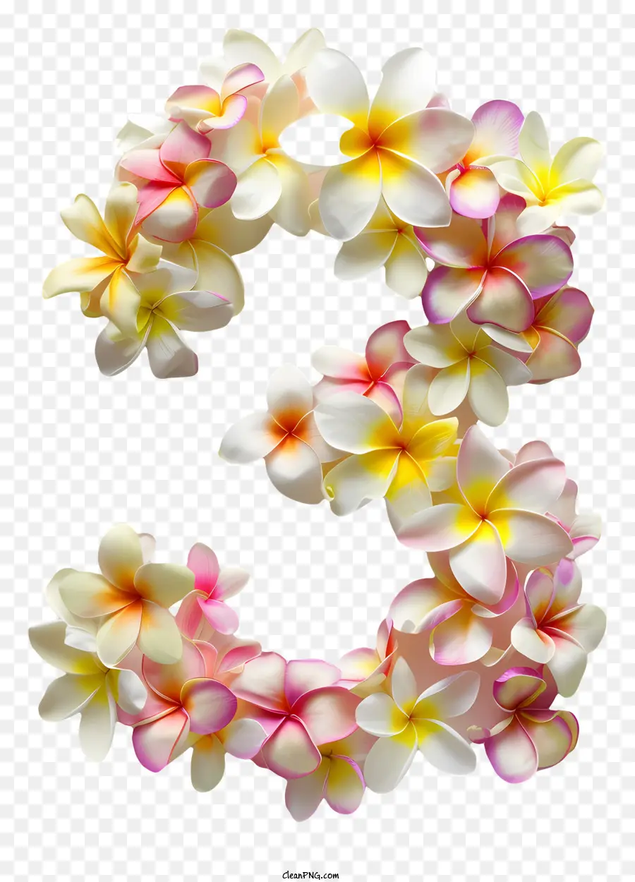 Floral Número Três，Flores De Ameixa PNG