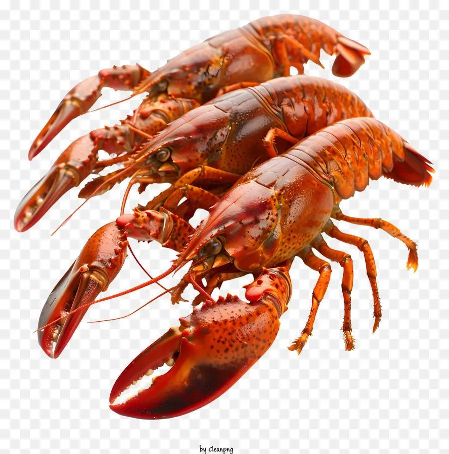 Crawfish，Cozinha PNG