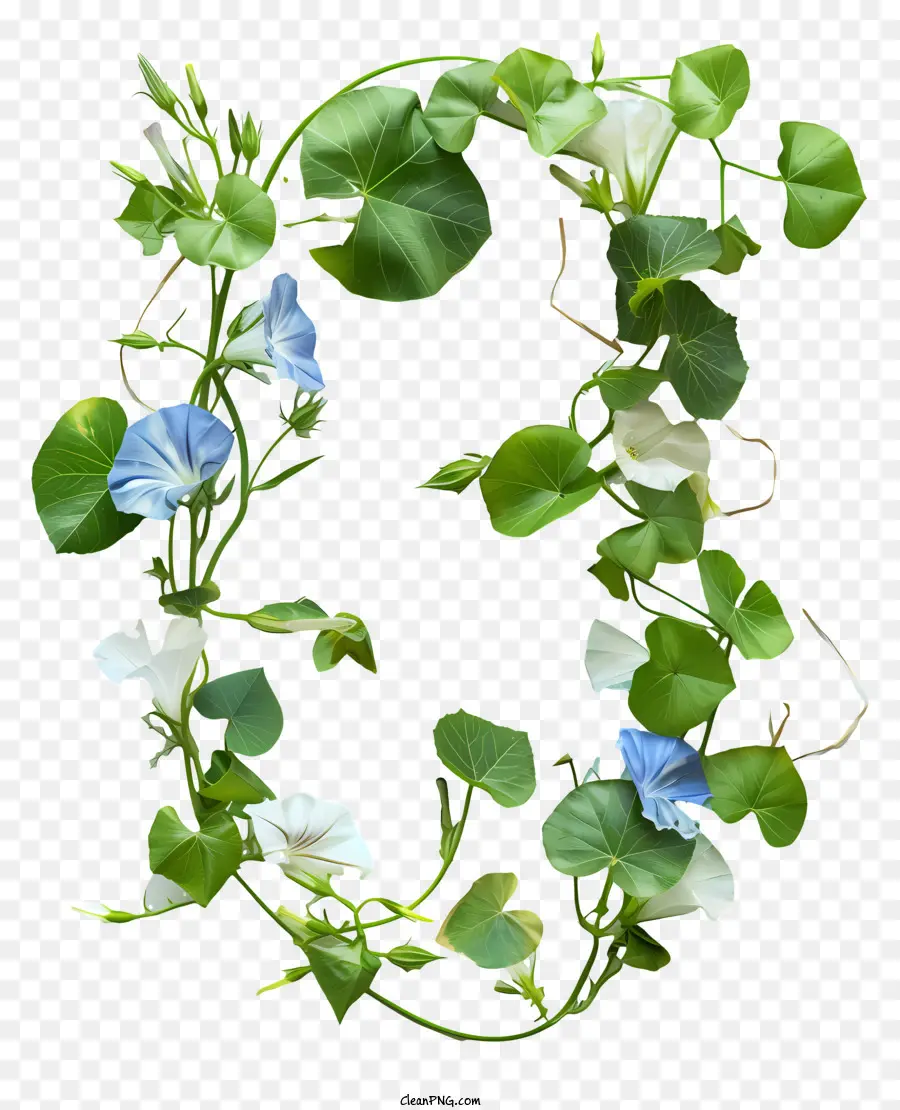 Floral Número Três，Azul E Branco Flores PNG