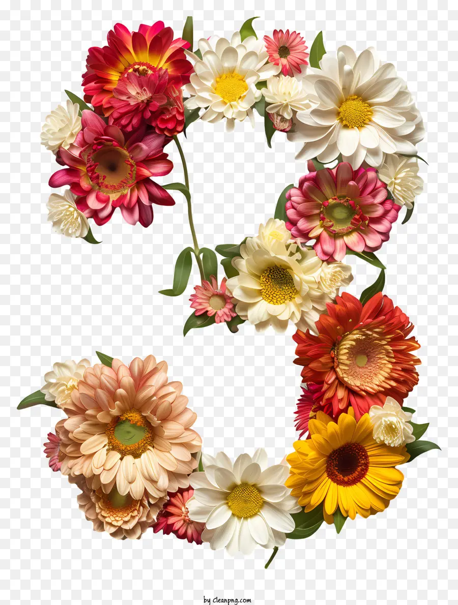 Floral Número Três，Margarida Flores PNG