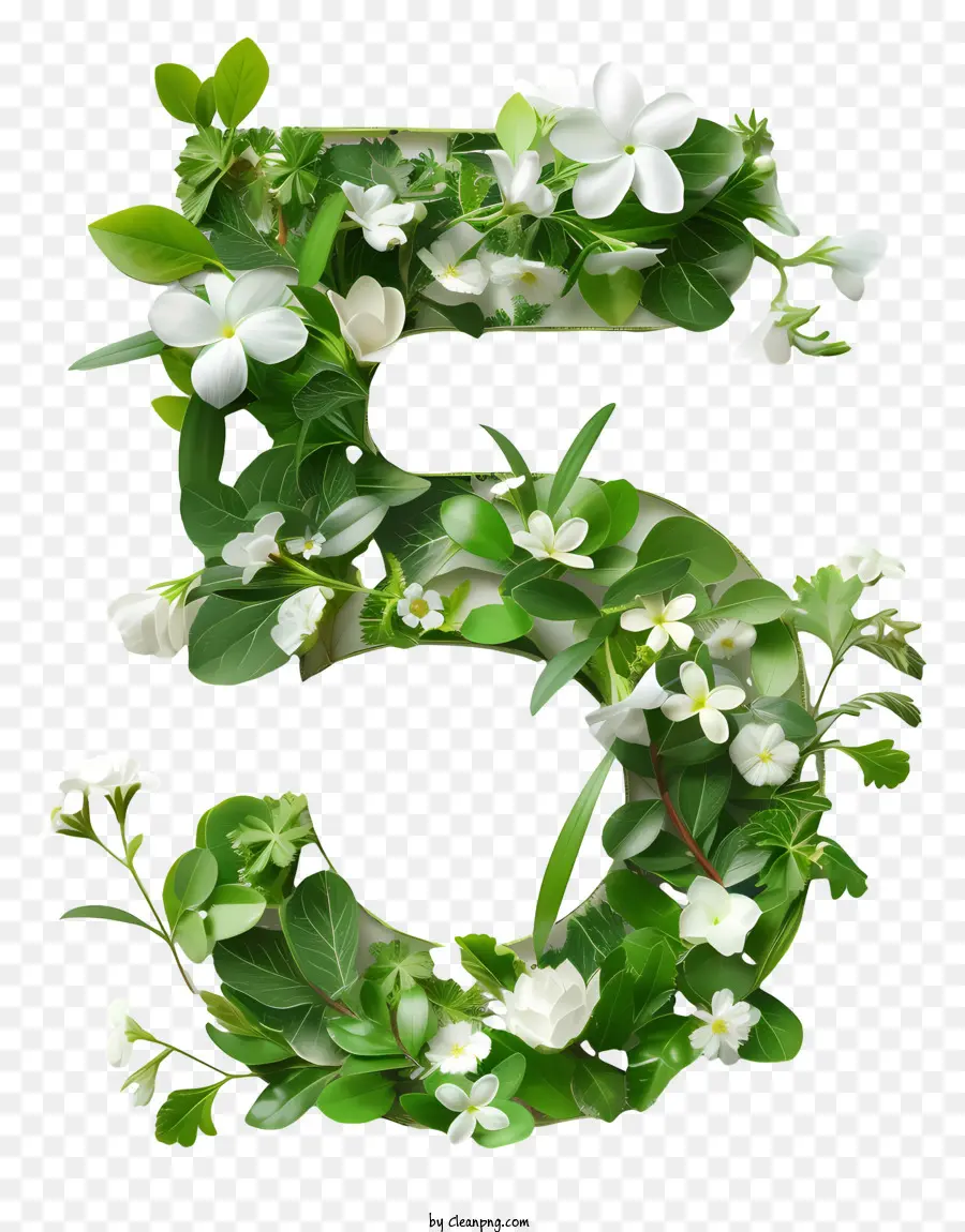 Número Floral Cinco，Arte Botânica PNG