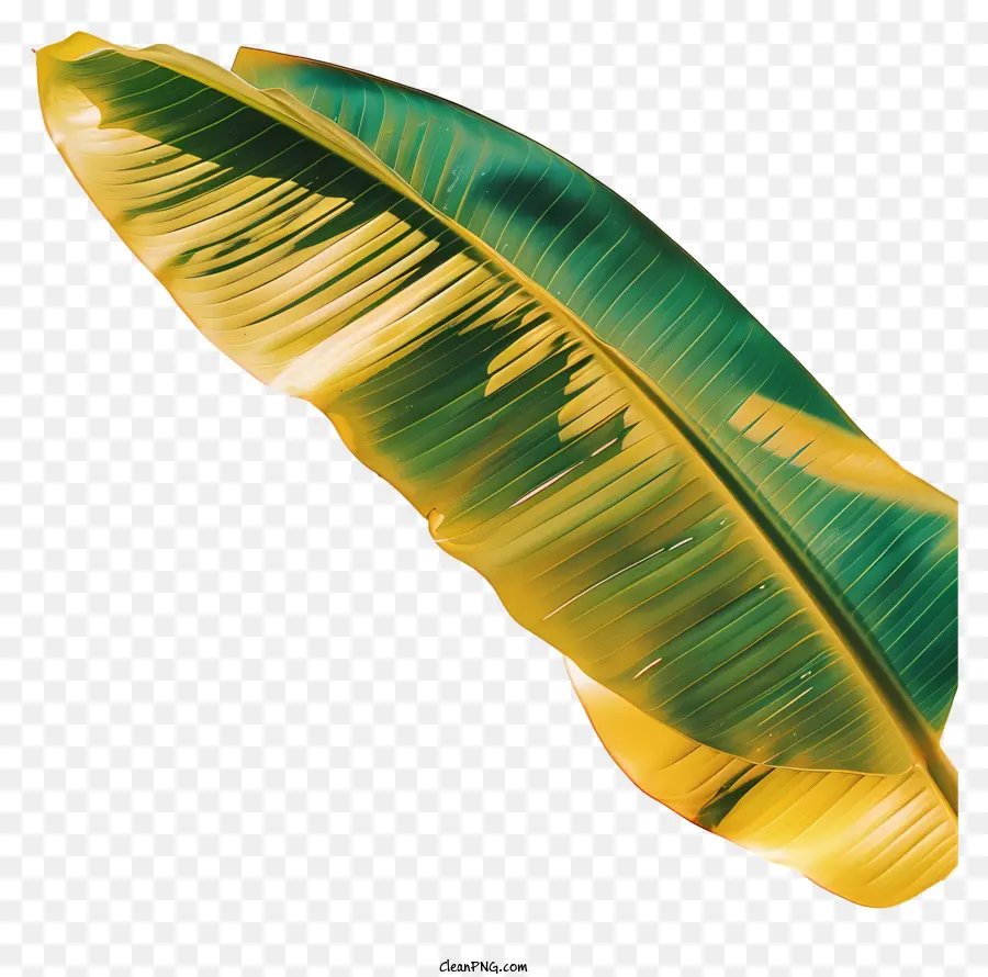 Folha De Banana，Descamação PNG