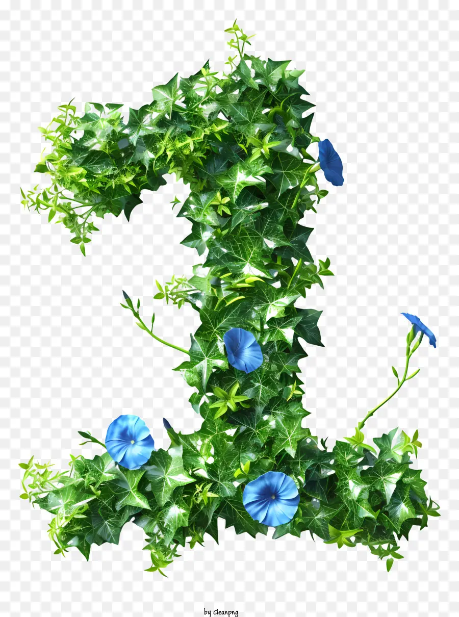 Número Um，Ivy PNG