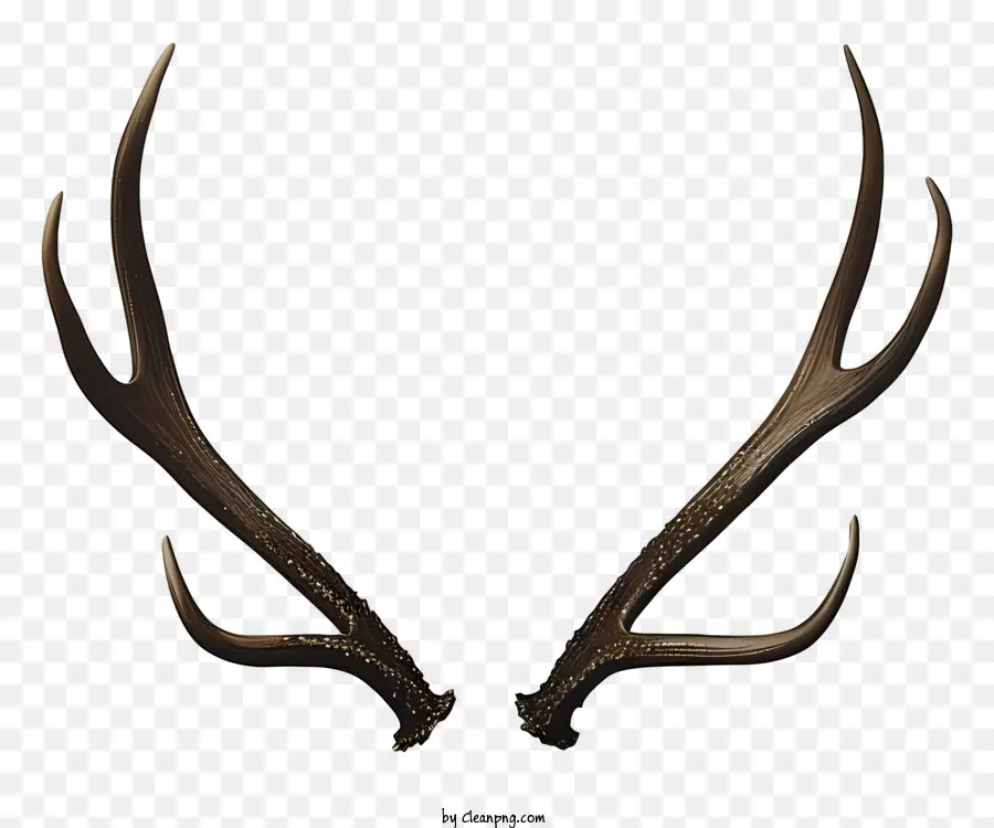 Antler，Os Chifres De PNG