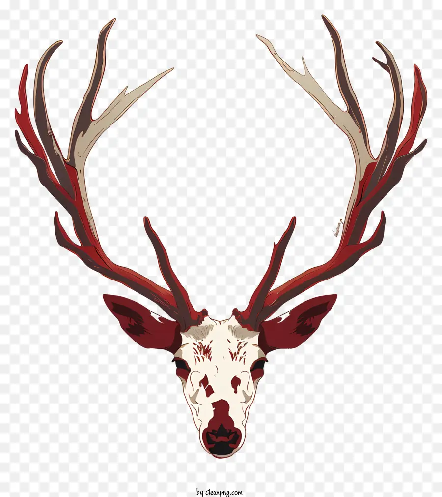 Antler，Veado Branco PNG