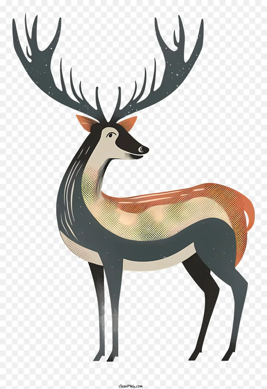 Deer，Os Chifres De PNG