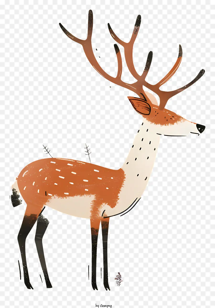 Deer，Desenho PNG