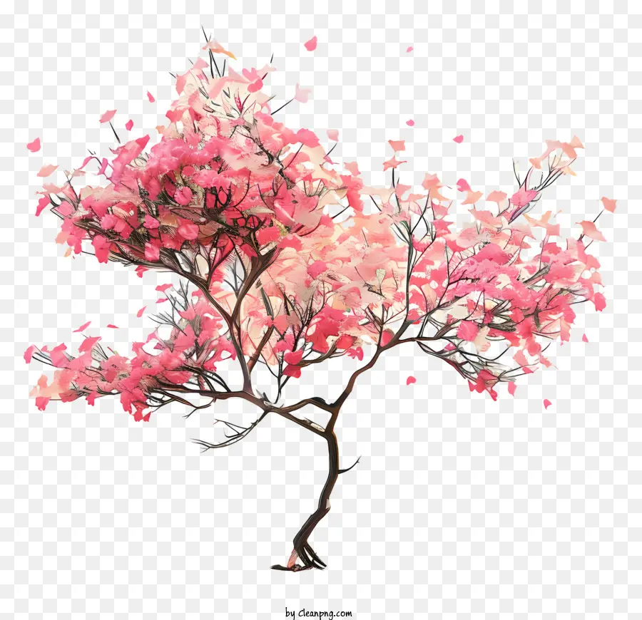 Flor De Cereja árvore，árvore Rosa PNG